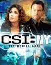 game pic for CSI New York